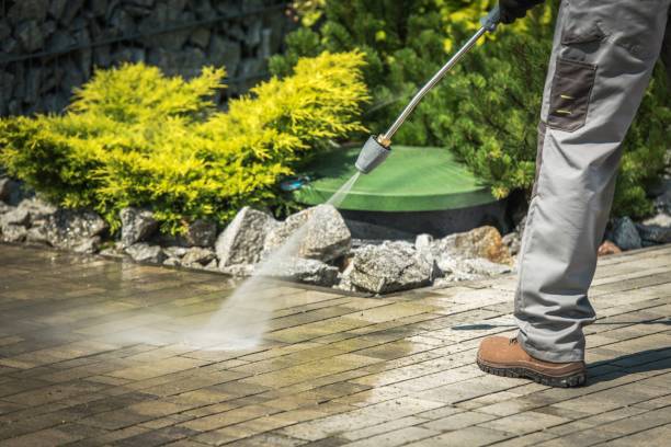 Best Gutter Cleaning  in Highland Beach, FL